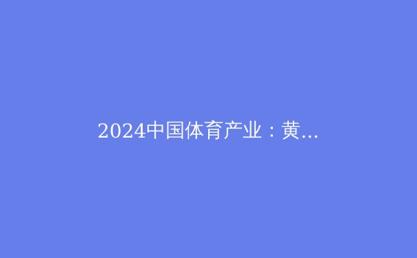 2024中国体育产业：黄金时代还是泡沫隐忧？ - 4